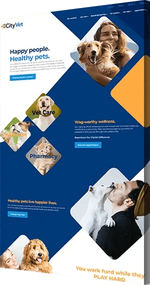 CleverLight Veterinary Web Design for CityVet