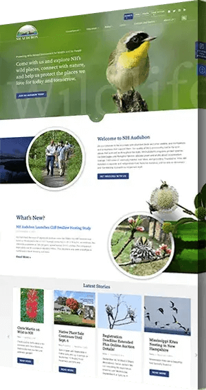 CleverLight Community Web Design for NHAudubon